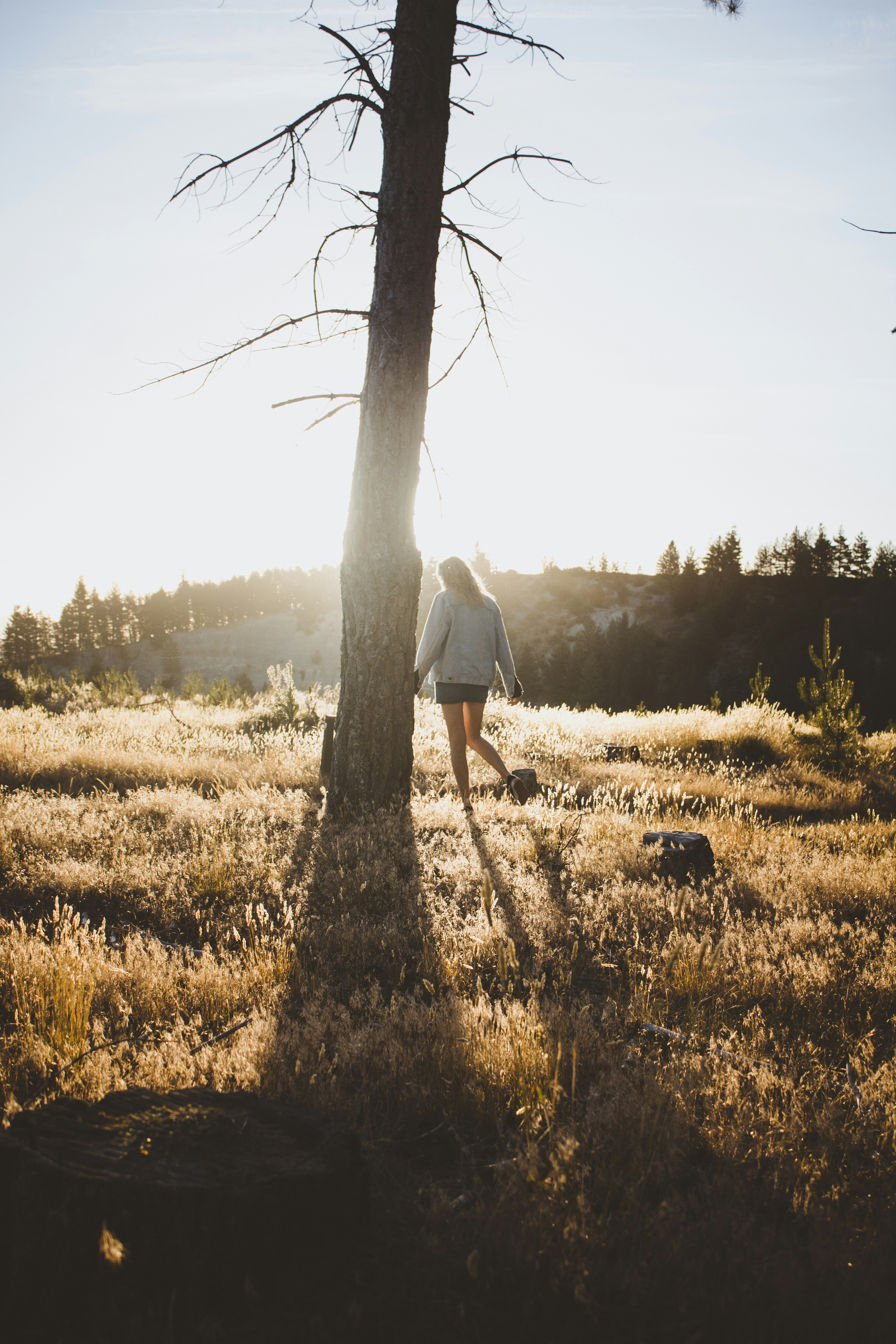 woman walking around tree during daytime